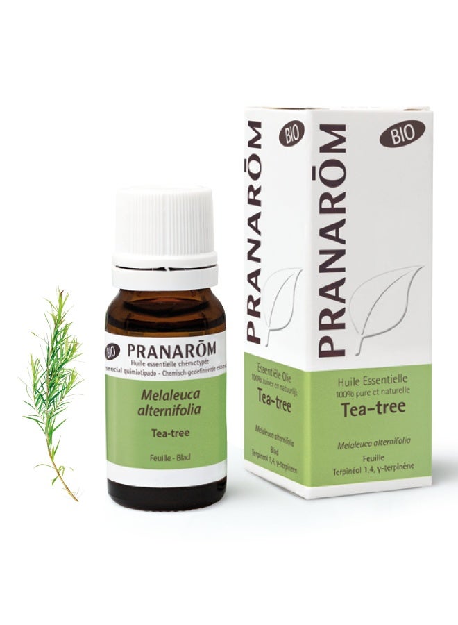 PRANAROM Pranarôm Bio Essential Oil Tea-Tree (Melaleuca alternifolia) 10ml - Image 4